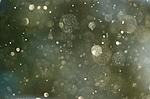 BB 05 0021